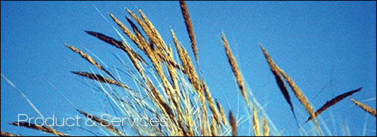 [ product & services ]